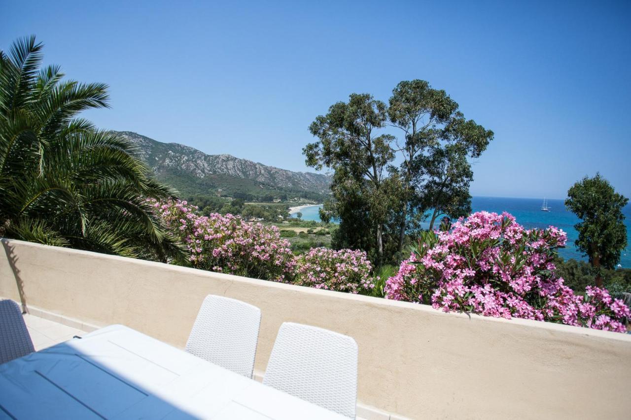 Appartement Terrasse La Citadelle Appartements Saint Florent Dış mekan fotoğraf
