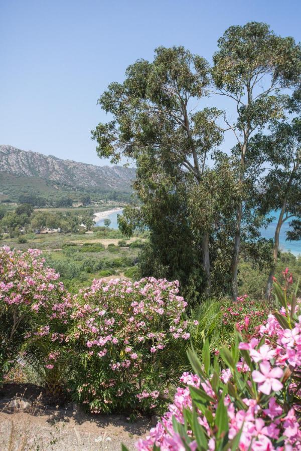 Appartement Terrasse La Citadelle Appartements Saint Florent Dış mekan fotoğraf